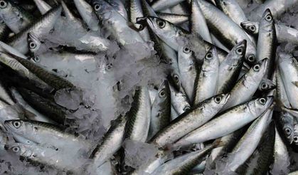 Yaşlanmayı geciktiren yiyecek