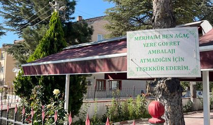 Eskişehir'de ağaçların insanlara mesajı var