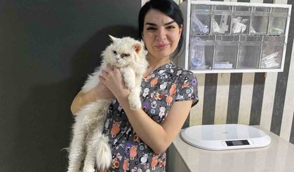 Evcil hayvanlarınızı evde tek bırakırken dikkat