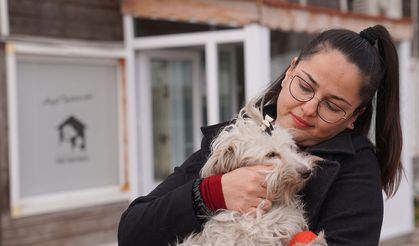Bu kentte yaşamın her haline karşı sorumluyuz