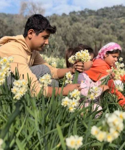 Mis kokulu nergis bilime de ilham kaynağı oluyor