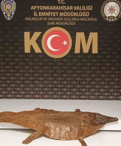 Polis durdurduğu araçta çıkan şaşırttı