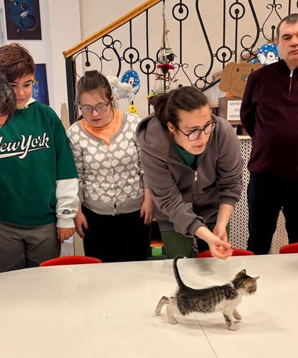 Özel çocuklardan sokak hayvanlarına sıcak yuva