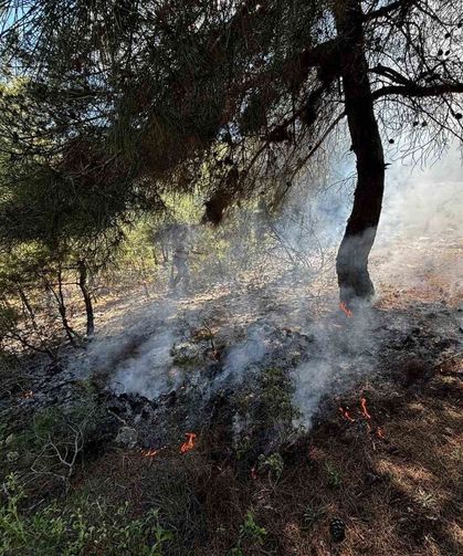 Bilecik'te ormanlık alanda yangın çıktı