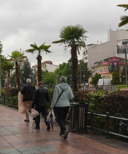 Köprübaşı palmiyelerle süslendi