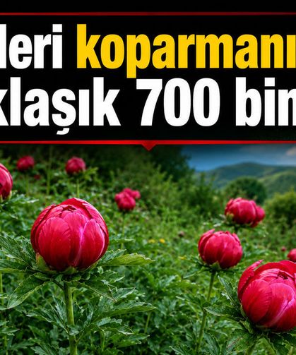 Bu güller el yakıyor