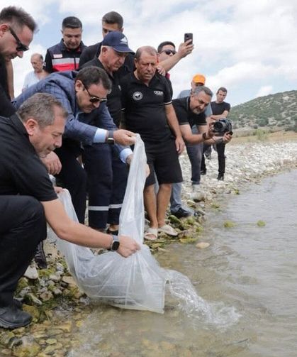 Kütahya'da Porsuk Barajı Göleti'ne 107 bin 500 balık yavrusu bırakıldı