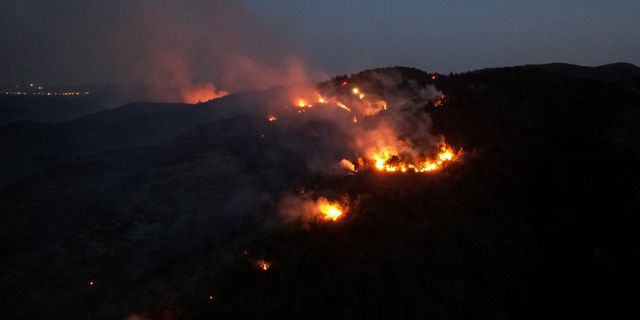 Bilecik'te Orman yangını