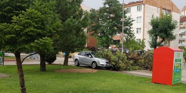 Kuvvetli rüzgar nedeniyle otomobilin üzerine ağaç devrildi