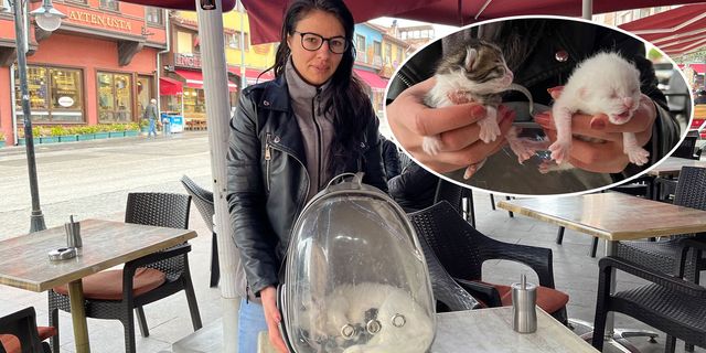 Eskişehir'de şaşkınlığa çeviren olay!