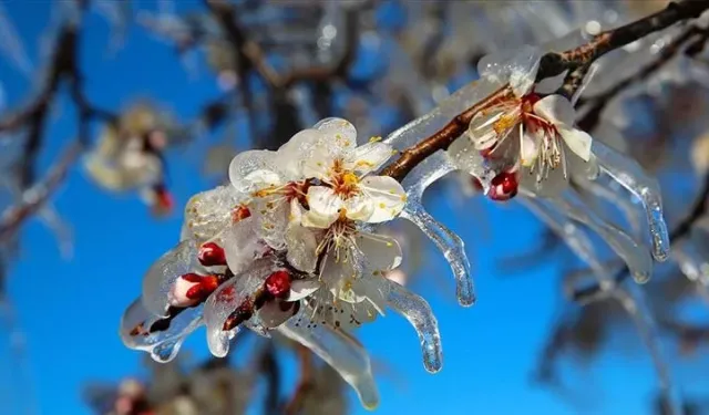 Eskişehir’de hava sıcaklığı artacak mı, azalacak mı?