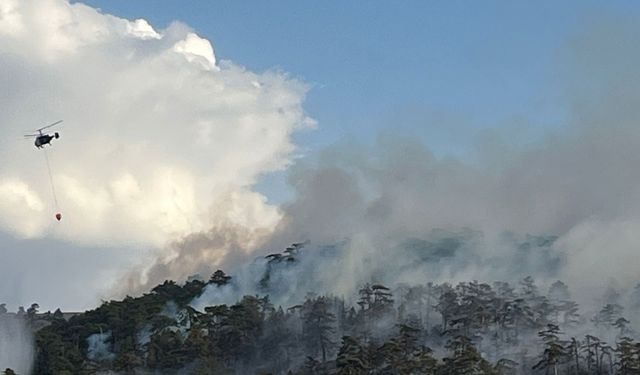 Eskişehir'deki orman yangını 7 saattir söndürülemedi