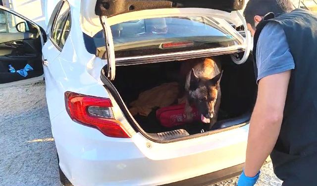 Narkotik köpeği otomobilin bagajındaki uyuşturucuyu buldu