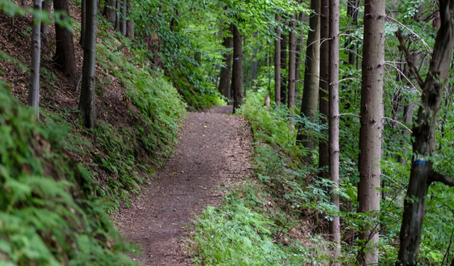 Türkiye'de Doğa Yürüyüşü (Hiking) Yapmak