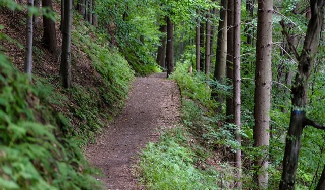 Türkiye'de Doğa Yürüyüşü (Hiking) Yapmak