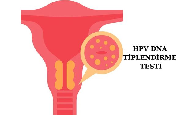 HPV Virüsü ve Rahim ağzı Kanseri Riski