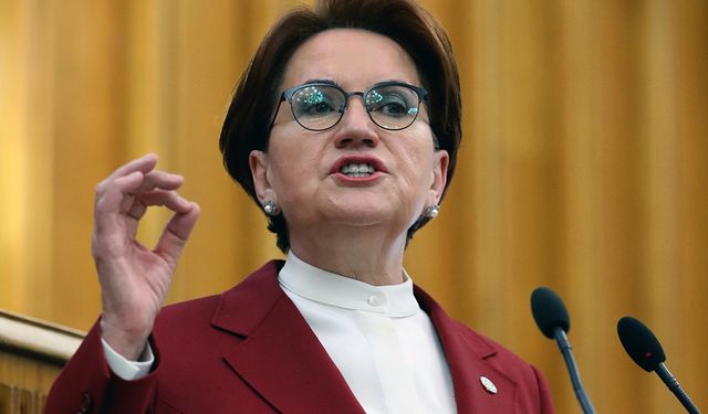 Akşener'den Hatipoğlu'na "Varlıklı aile şımarığı" 