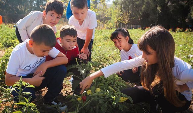 Öğrencilerin yerel tohum heyecanı