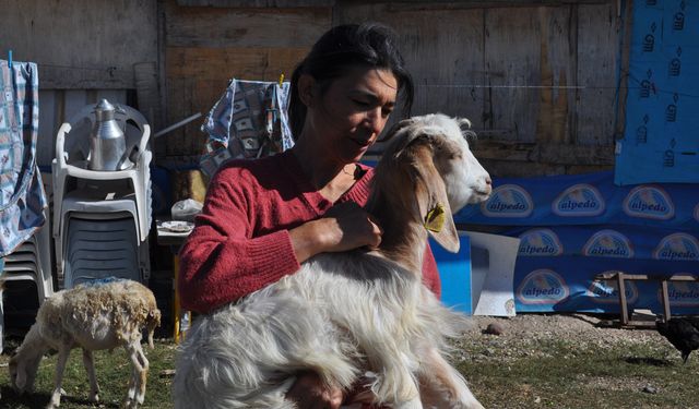 Hayvanlarını kendi çocukları gibi görüyor