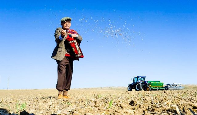 Karakılçık tohumu başvuruları  3 Kasım’a kadar sürecek