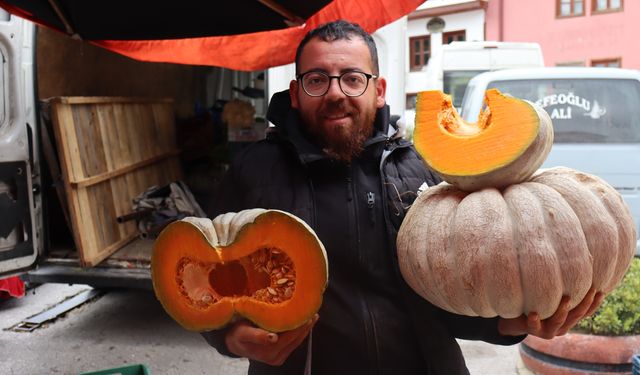 Kış kabağının tarladan tezgaha yolculuğu başladı