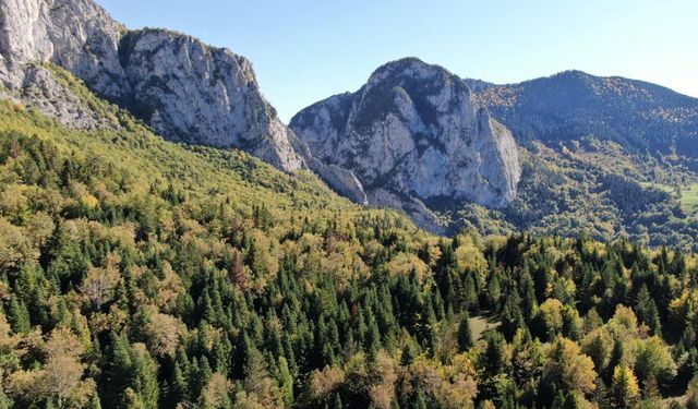 Türkiye’nin tek "Pan Parks" statüsüne sahip Küre Dağlarında mest eden sonbahar manzarası