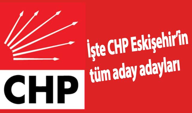 CHP'nin tüm aday adayları belli oldu