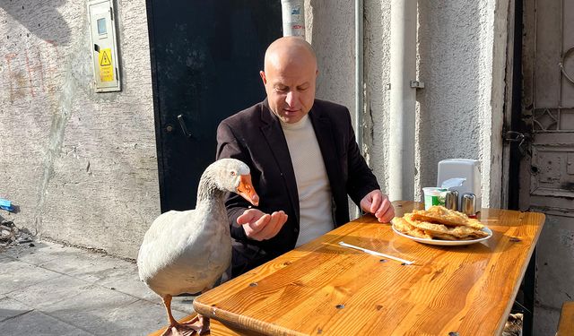 2 yıllık kazı ile Eskişehir’i gezdi, çi börek yedi