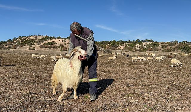 Harekete geçmek için bir hareketi yetiyor