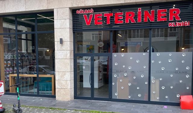 Şişli'de Evcil Hayvanların Sağlık Merkezi: Gülbağ Veteriner Kliniği