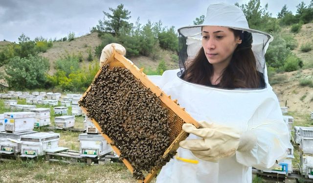 Böcekten korkarken şimdi arıcı oldu