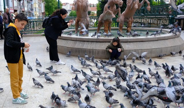 Eskişehir'e gelen turistler kuşları böyle besledi