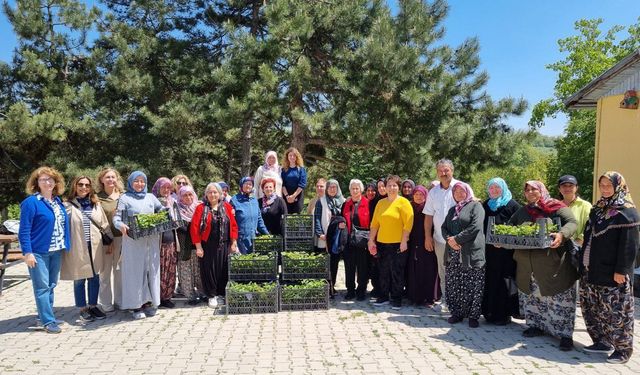 ‘Narçiçeği meyve veriyor’