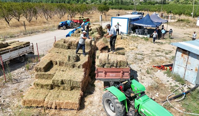 Büyükşehir'den hayvan üreticilerine balya desteği