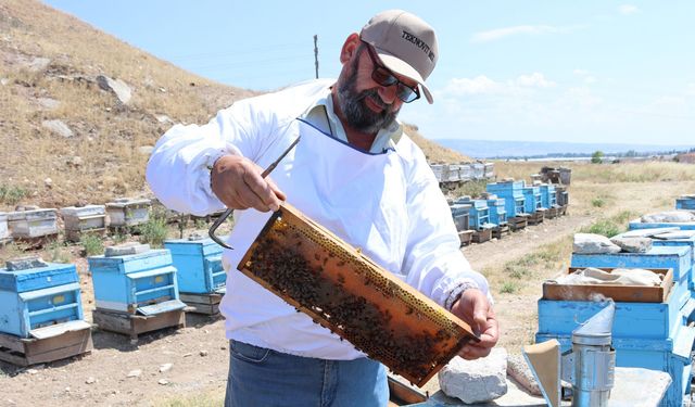 Hava sıcaklığı onları da vurdu!