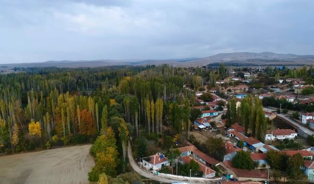 Mahkeme Kaymaz'ın maden çöplüğüne dönüşmesine dur dedi