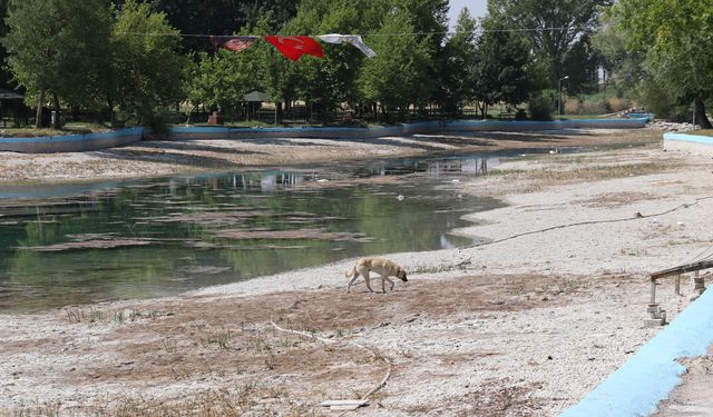 Sakarya Nehri'nin doğduğu Sakaryabaşı'nda sular çekildi