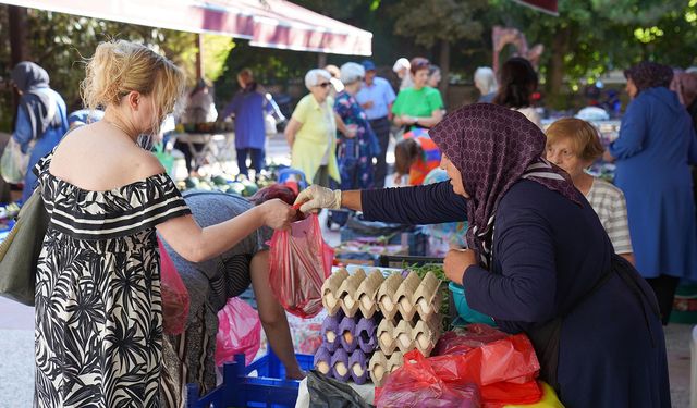 Aile bütçelerine katkıda bulunuyorlar