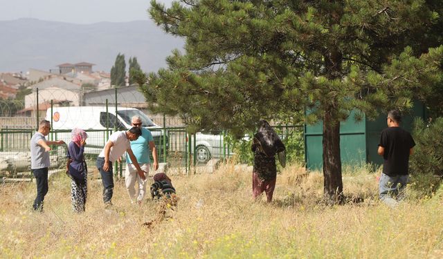 Büyükşehir zabıtasından  şehrin dört bir yanında operasyon