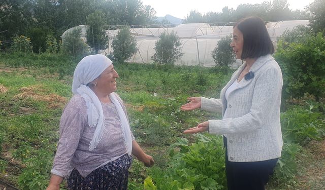 Domates ve domates ürünlerinde kriz kapıda