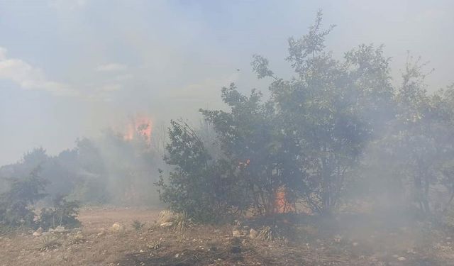 Han'da çıkan yangın büyümeden söndürüldü