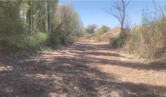 Sivrihisar’da Sakarya Nehri Kurudu, Çiftçiler Mağdur Oldu!