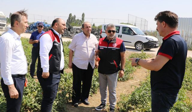 Tarımsal üretim planlaması için toplanıyorlar