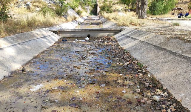 Şehri Derya Parkı Kurudu: Bakımsızlık ve Kirlilik Tepki Çekiyor