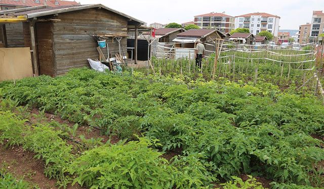 Hobi bahçesi sahipleri yıkım istemiyor