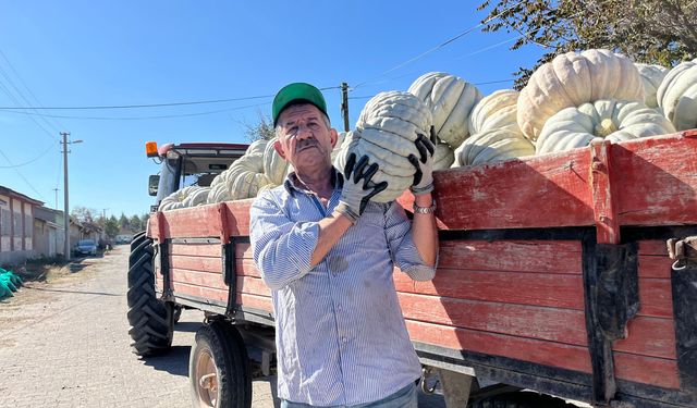 Tarlada 5, pazarda 30 liradan satılıyor