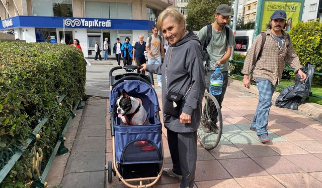 Köpeğini bebek gibi dolaştırıyor