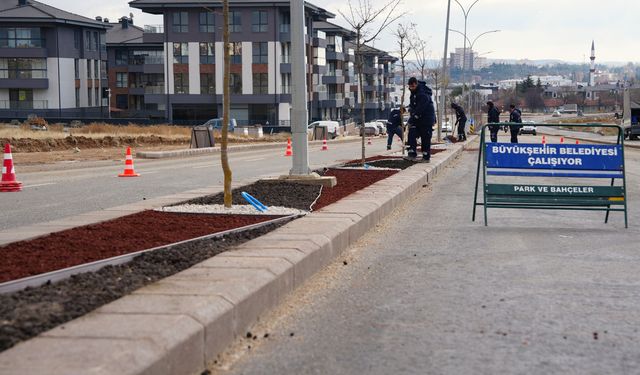 Büyükşehir’den “kuru peyzaj” çalışması