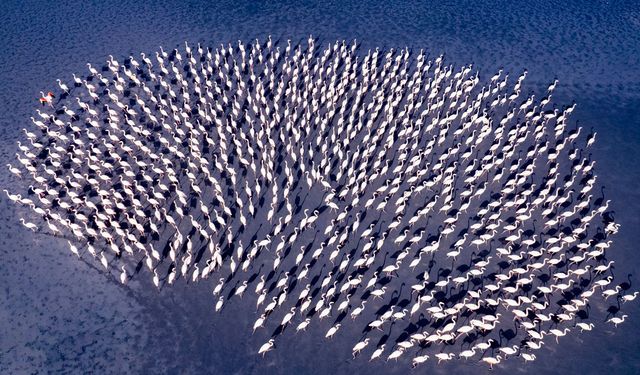 Eskişehirli fotoğraf sanatçısı, uluslararası yarışmada Bireysel Dünya 2'inciliği kazandı