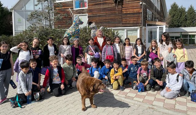 Öğrencilerden patili dostlara mama bağışı
